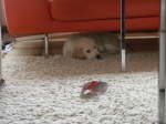 in meiner H�hle f�hle ich mich wohl