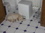 schon mal in Position gehen, 